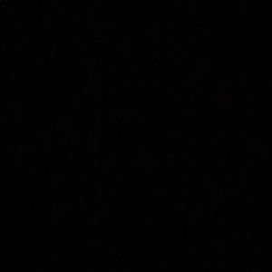 Meet your Posher, Kendall